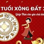 2023 Con Gì Xông Nhà Được Không Ạ