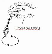 Môn Trường Sinh Học