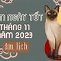 Xem Ngày 21 Tháng 11 Năm 2023 Tốt Hay Xấu